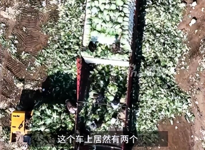 外交部：中方敦促新西兰有关机构停止散布谎言、制造矛盾