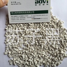 何小鹏亲自向神州租车交付1300台新车 CEO放话:选小鹏就是冲着智驾来的